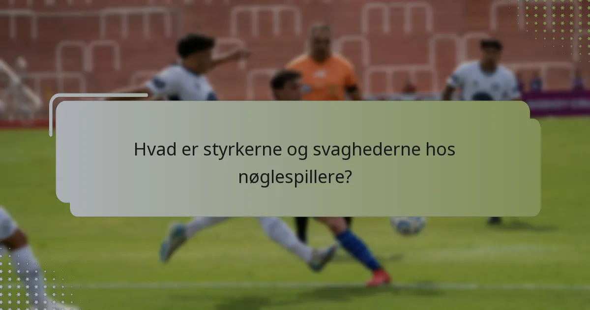 Hvad er styrkerne og svaghederne hos nøglespillere?